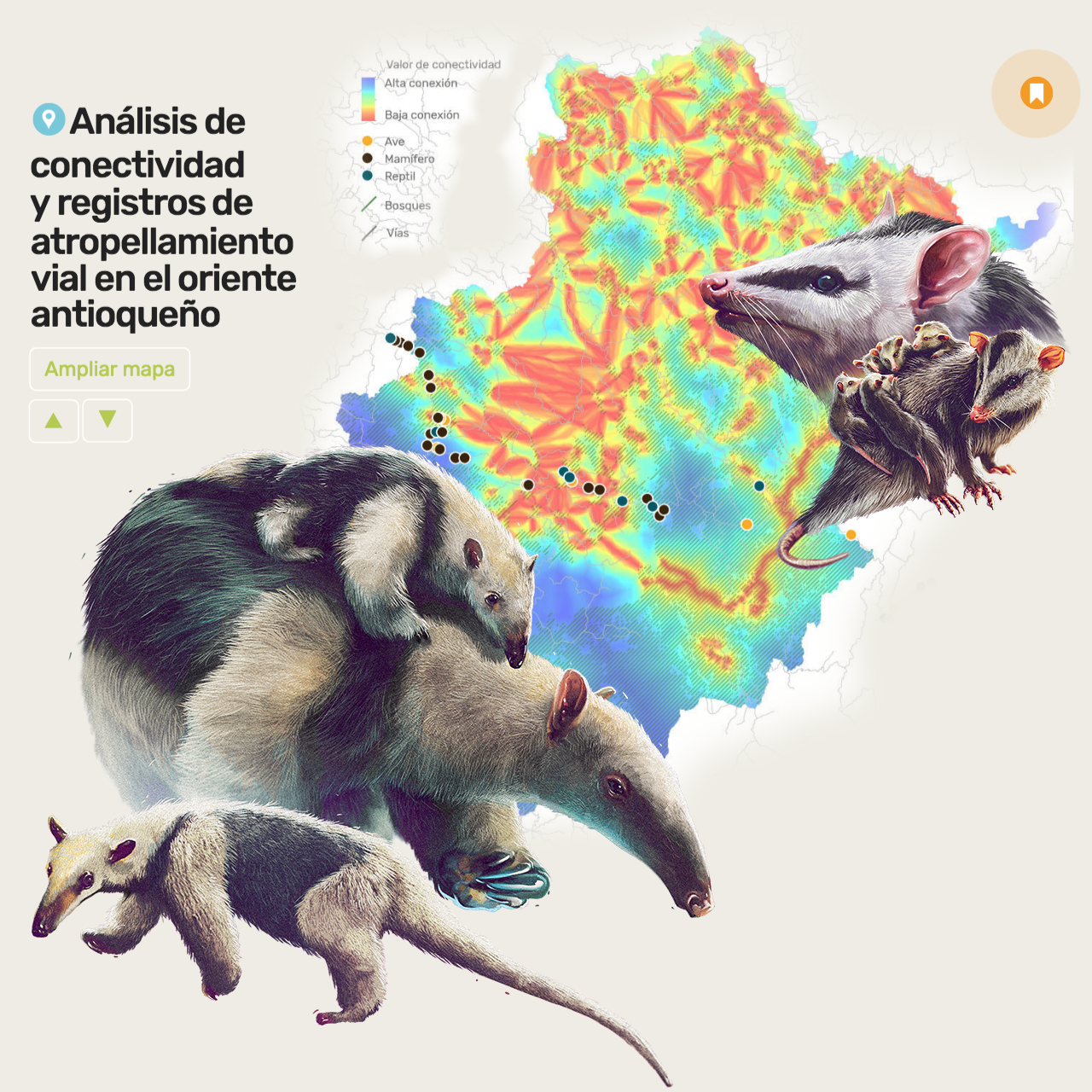 Los animales atropellados de Colombia,
Estrategias para mitigar los efectos de la infraestructura vial en la fauna silvestre